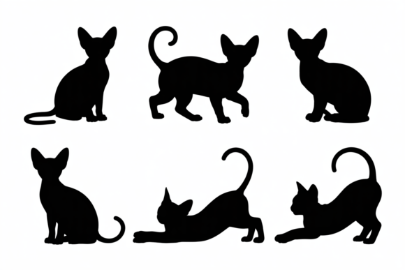 Black Cat in Different Poses Silhouettes