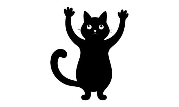 Black Cat Reaching Up Silhouetted Review