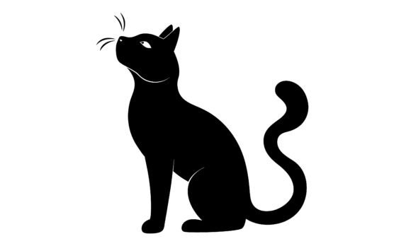 Black Cat Silhouette Looking Upward