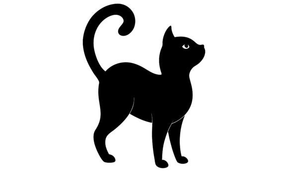 Black Cat Silhouette Looking Upwards