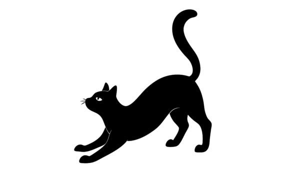 Black Cat Stretching Silhouette on White Review