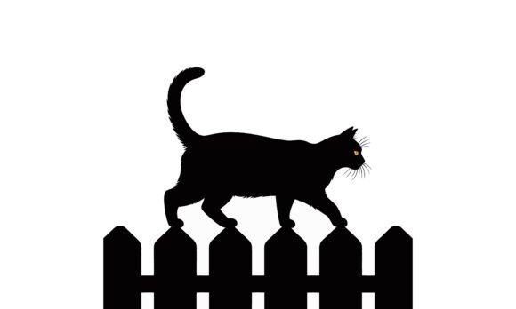 Black Cat Walking on a Picket Fence Review