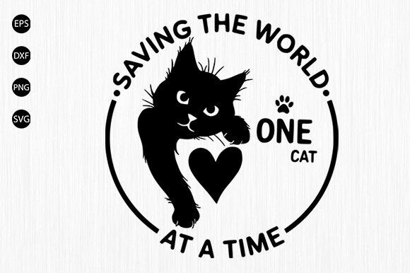 Inspirational Cat Lover Graphic T-Shirt Review