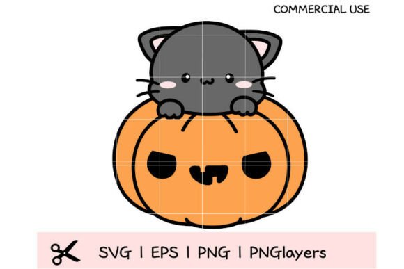 Kawaii Black Cat on Pumpkin Halloween Review